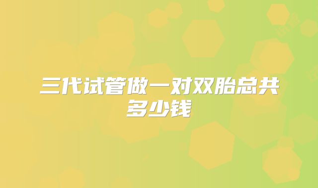 三代试管做一对双胎总共多少钱