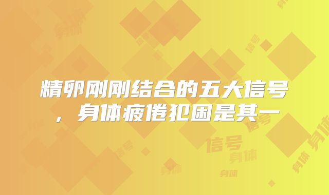 精卵刚刚结合的五大信号，身体疲倦犯困是其一