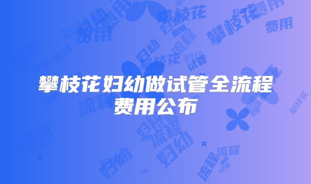 攀枝花妇幼做试管全流程费用公布