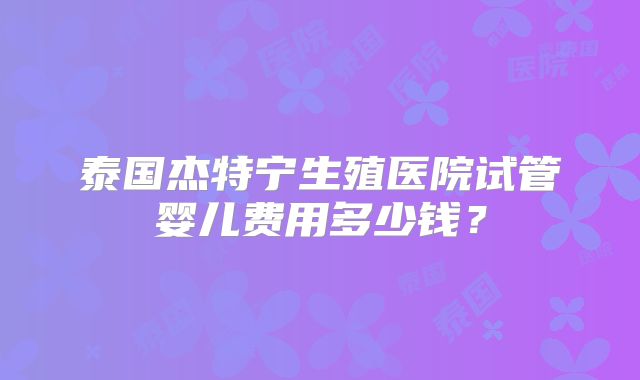 泰国杰特宁生殖医院试管婴儿费用多少钱？