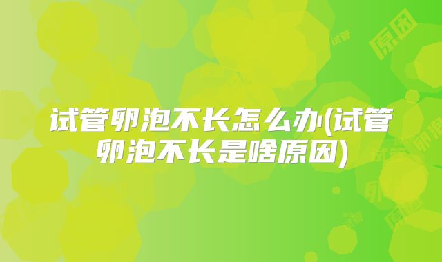 试管卵泡不长怎么办(试管卵泡不长是啥原因)