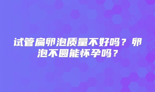 试管扁卵泡质量不好吗?卵泡不圆能怀孕吗?