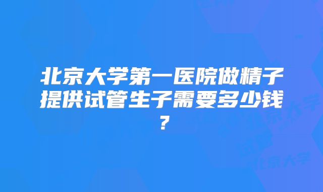 北京大学第一医院做精子提供试管生子需要多少钱？