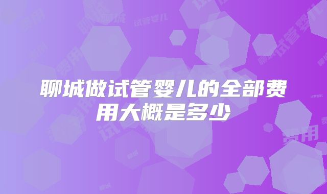 聊城做试管婴儿的全部费用大概是多少