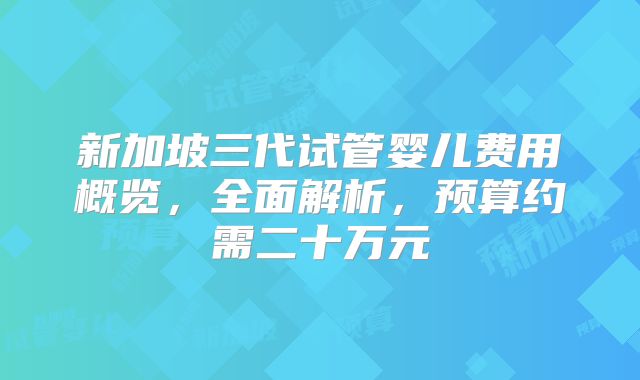 新加坡三代试管婴儿费用概览，全面解析，预算约需二十万元
