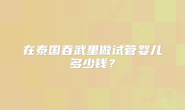 在泰国吞武里做试管婴儿多少钱？