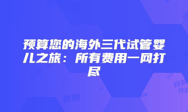 预算您的海外三代试管婴儿之旅：所有费用一网打尽