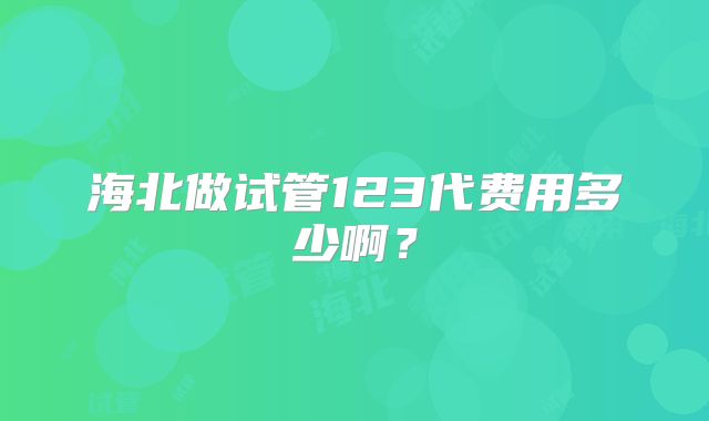 海北做试管123代费用多少啊?