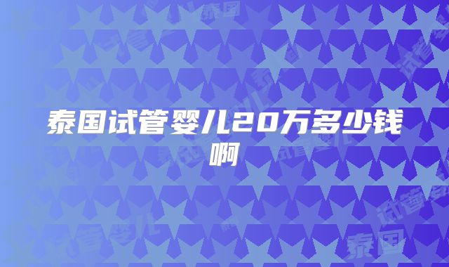 泰国试管婴儿20万多少钱啊