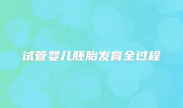 试管婴儿胚胎发育全过程