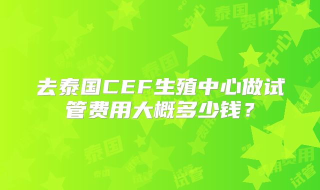 去泰国CEF生殖中心做试管费用大概多少钱？