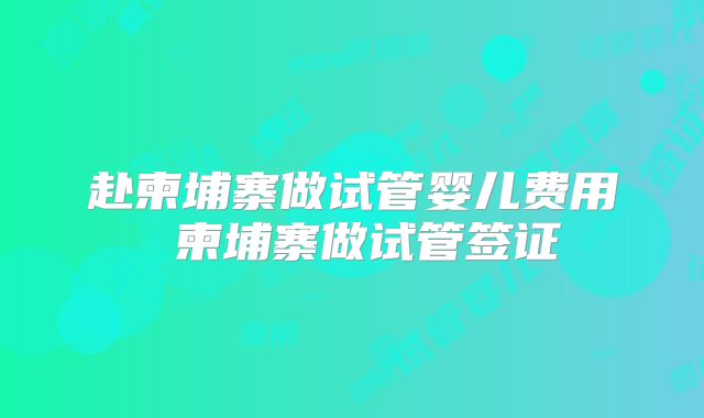 赴柬埔寨做试管婴儿费用 柬埔寨做试管签证