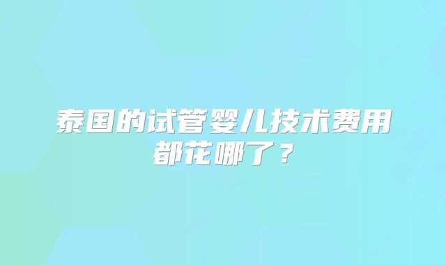 泰国的试管婴儿技术费用都花哪了？