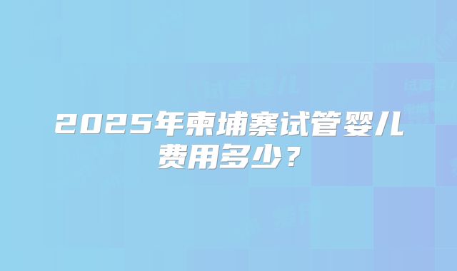 2025年柬埔寨试管婴儿费用多少？