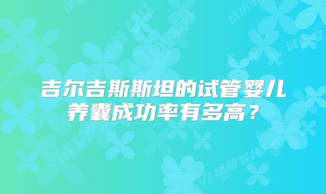 吉尔吉斯斯坦的试管婴儿养囊成功率有多高？