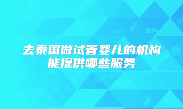去泰国做试管婴儿的机构能提供哪些服务