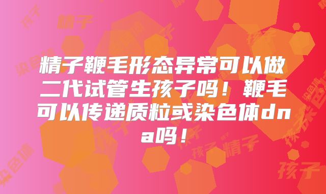 精子鞭毛形态异常可以做二代试管生孩子吗！鞭毛可以传递质粒或染色体dna吗！