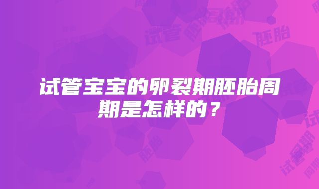 试管宝宝的卵裂期胚胎周期是怎样的？