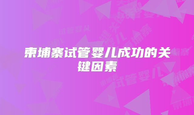 柬埔寨试管婴儿成功的关键因素