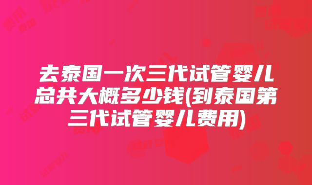 去泰国一次三代试管婴儿总共大概多少钱(到泰国第三代试管婴儿费用)
