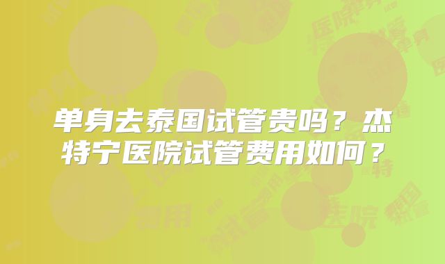 单身去泰国试管贵吗？杰特宁医院试管费用如何？