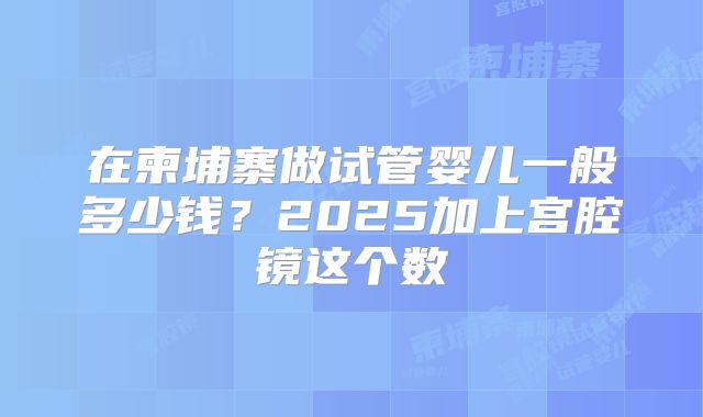 在柬埔寨做试管婴儿一般多少钱？2025加上宫腔镜这个数