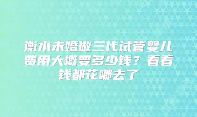 衡水未婚做三代试管婴儿费用大概要多少钱？看看钱都花哪去了