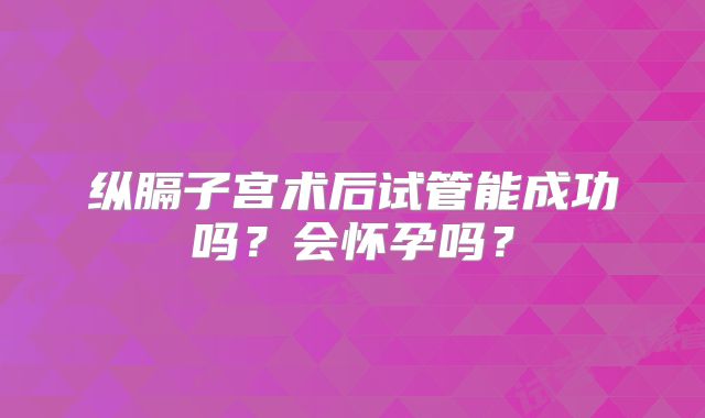 纵膈子宫术后试管能成功吗？会怀孕吗？