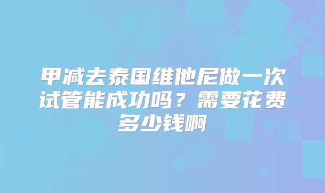 甲减去泰国维他尼做一次试管能成功吗？需要花费多少钱啊