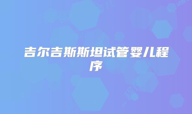 吉尔吉斯斯坦试管婴儿程序