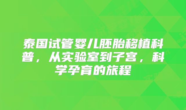泰国试管婴儿胚胎移植科普，从实验室到子宫，科学孕育的旅程