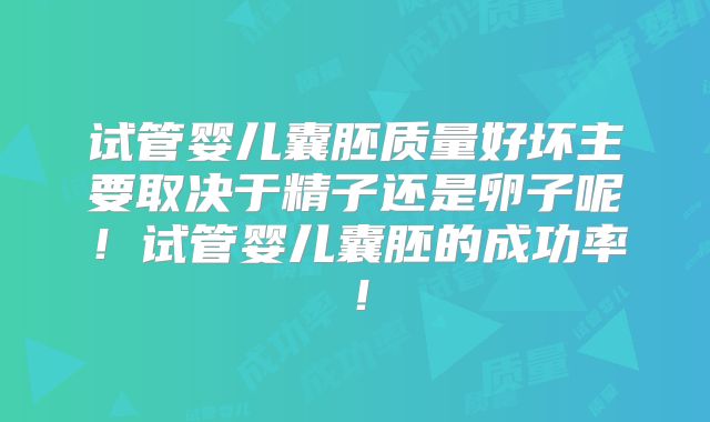 试管婴儿囊胚质量好坏主要取决于精子还是卵子呢!试管婴儿囊胚的成功率!