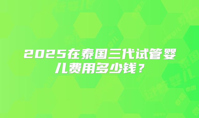 2025在泰国三代试管婴儿费用多少钱?