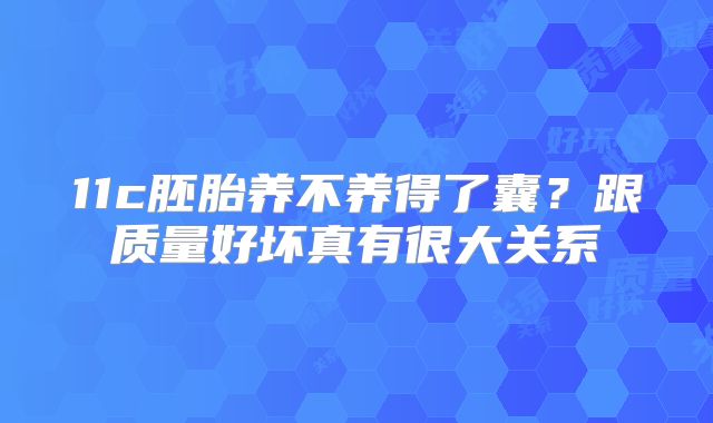 11c胚胎养不养得了囊？跟质量好坏真有很大关系