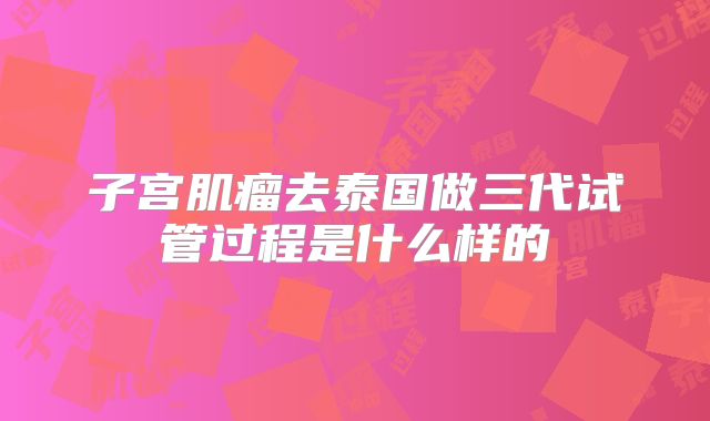 子宫肌瘤去泰国做三代试管过程是什么样的