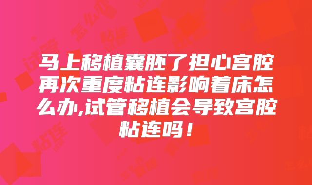 马上移植囊胚了担心宫腔再次重度粘连影响着床怎么办,试管移植会导致宫腔粘连吗！