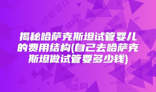 揭秘哈萨克斯坦试管婴儿的费用结构(自己去哈萨克斯坦做试管要多少钱)