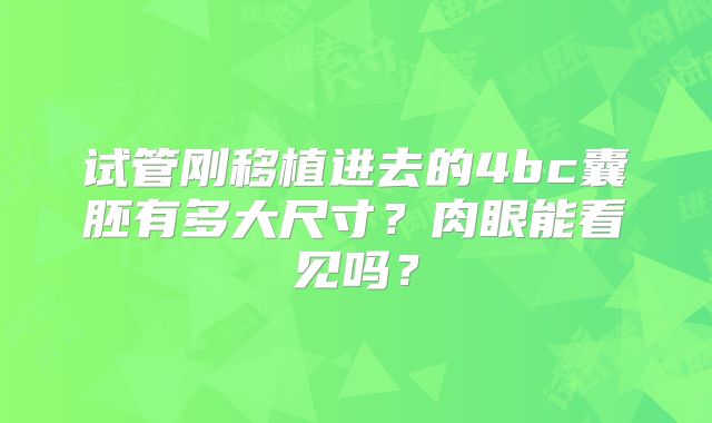 试管刚移植进去的4bc囊胚有多大尺寸？肉眼能看见吗？