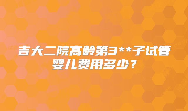吉大二院高龄第3**子试管婴儿费用多少？