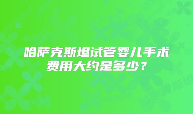 哈萨克斯坦试管婴儿手术费用大约是多少?