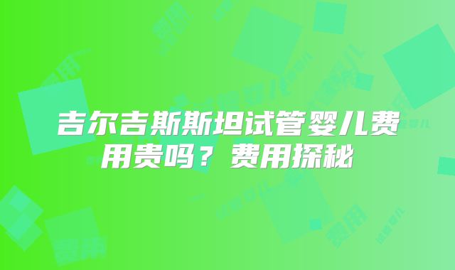 吉尔吉斯斯坦试管婴儿费用贵吗？费用探秘