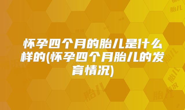 怀孕四个月的胎儿是什么样的(怀孕四个月胎儿的发育情况)