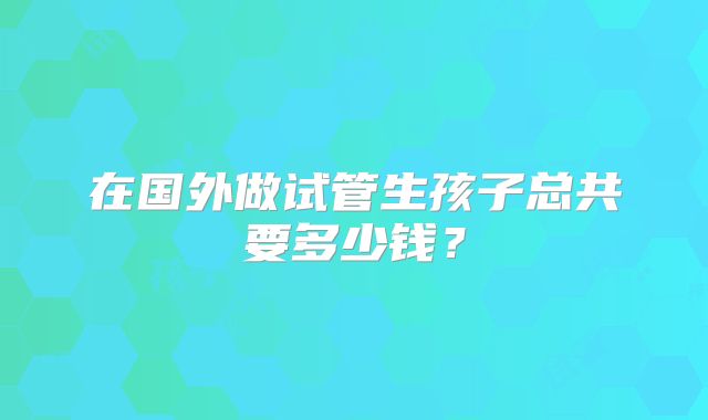 在国外做试管生孩子总共要多少钱？