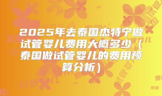 2025年去泰国杰特宁做试管婴儿费用大概多少（泰国做试管婴儿的费用预算分析）