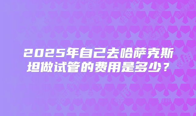 2025年自己去哈萨克斯坦做试管的费用是多少？
