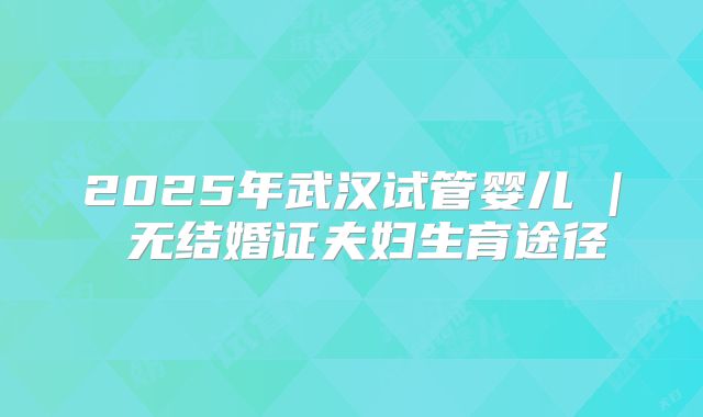 2025年武汉试管婴儿 | 无结婚证夫妇生育途径