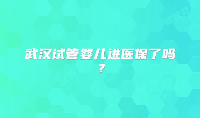 武汉试管婴儿进医保了吗？