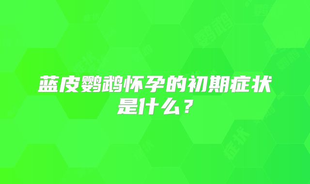 蓝皮鹦鹉怀孕的初期症状是什么?