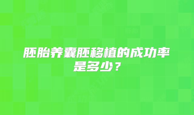 胚胎养囊胚移植的成功率是多少？