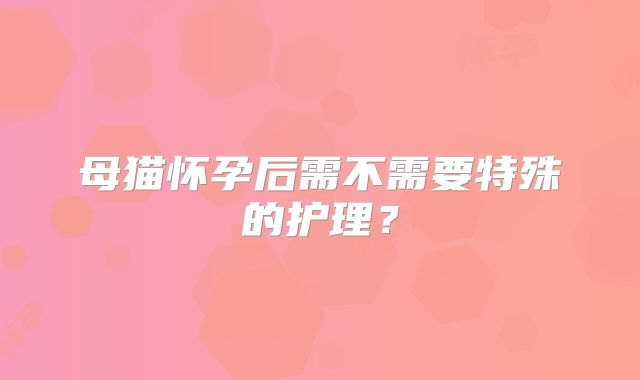母猫怀孕后需不需要特殊的护理？